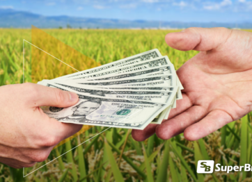 Rentabilidad en la Agroindustria Arrocera / Profitability in Rice Industry